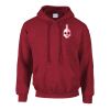 Gildan Heavy Blend™ Hooded Sweatshirt Thumbnail