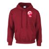 Gildan Heavy Blend™ Hooded Sweatshirt Thumbnail